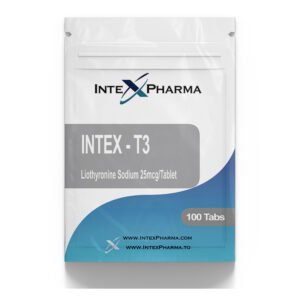 Intex T-3